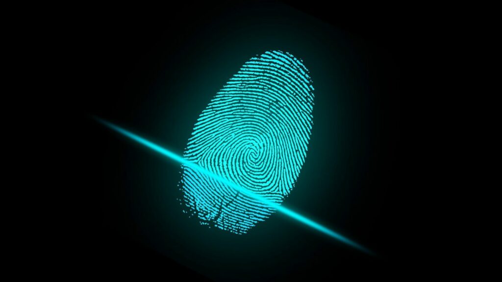 Servizi specifici di Digital Forensic